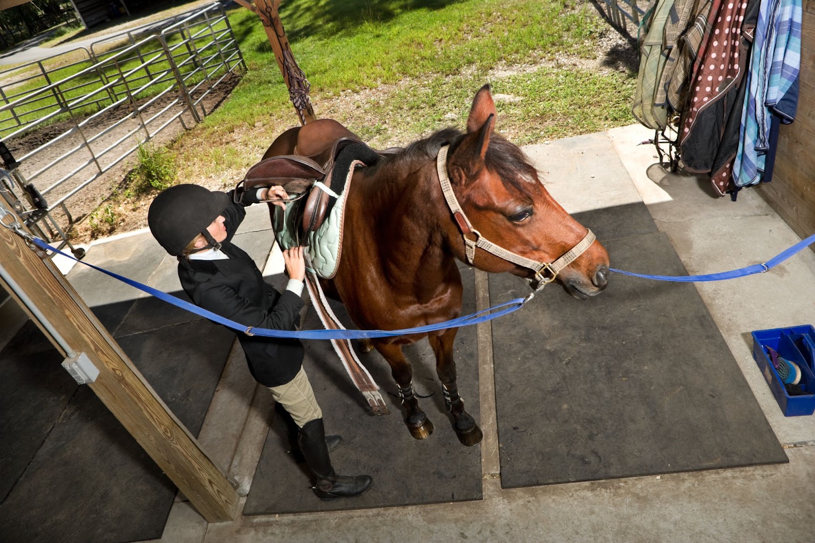 Place your order today or contact us